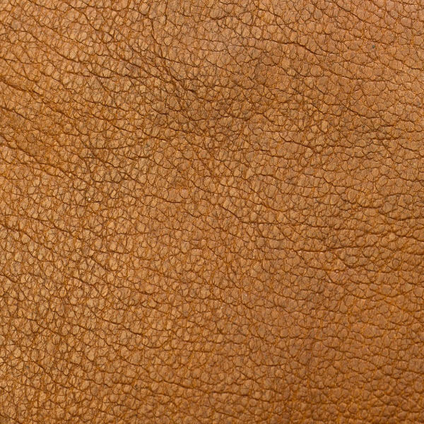 calzado y marroquinería muestra 4